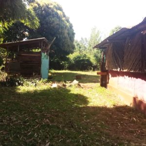 Two acres in Gatundu Kimunyu. - Image 2