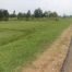 1/4 ACRE OF LAND HUMUNOYWA CLOSE TO THE GOVERNORS HOUSES OR CLOSE TO WHERE THE STATE HOUSE IS TO BE CONSTRUCTED.