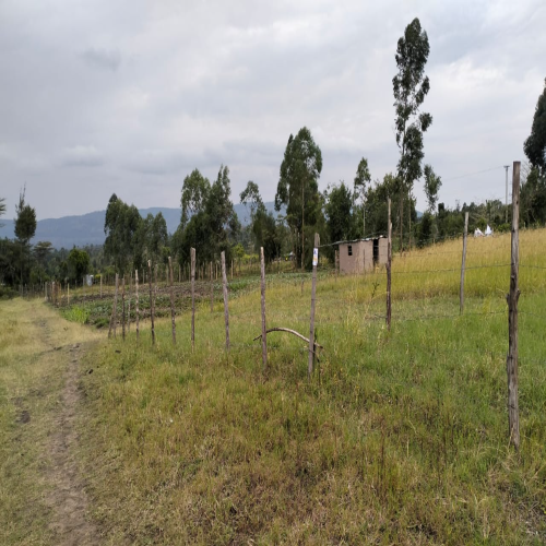 100*100 Plot of land Bungoma county government land or Nabongo senior highschool or Nabongo college or Muslim high school or Muslim primary school or Zonia company houses.
