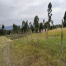 100*100 Plot of land Bungoma county government land or Nabongo senior highschool or Nabongo college or Muslim high school or Muslim primary school or Zonia company houses.