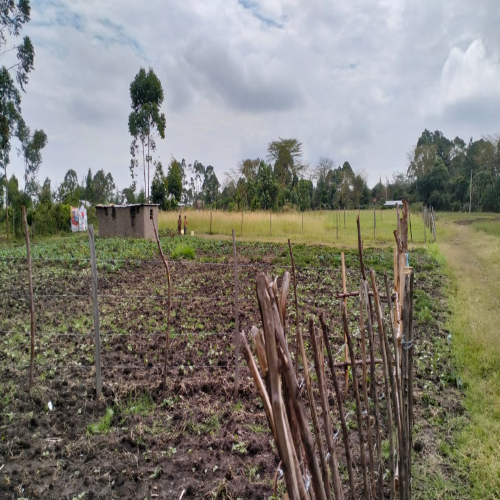 Plot AREA : Bungoma town COUNTY: Bungoma CONSTITUENCY Kanduyi LOCATION : Ndengelwa DISTANCE FROM BUNGOMA TOWN : 2 kilometers along the Malaba Nairobi highway. CLOSE TO : Ndengelwa highschool,Mabanga KFTC( for farmers), It's in Ndengelwa market ,Close to former Governor's resident's. SIZE : 85 by 100 PLOT HAS : Power/ Electricity and water PROJECT : Good for Residential or rental houses Price: 1.7million TITLE: Direct transfer title deed OWNERSHIP :owner selling